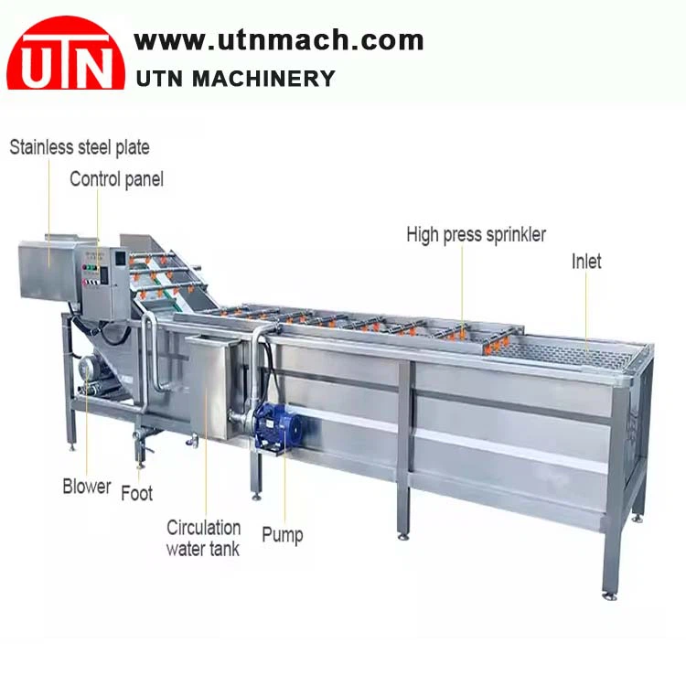 onion washing machine onion washing machine